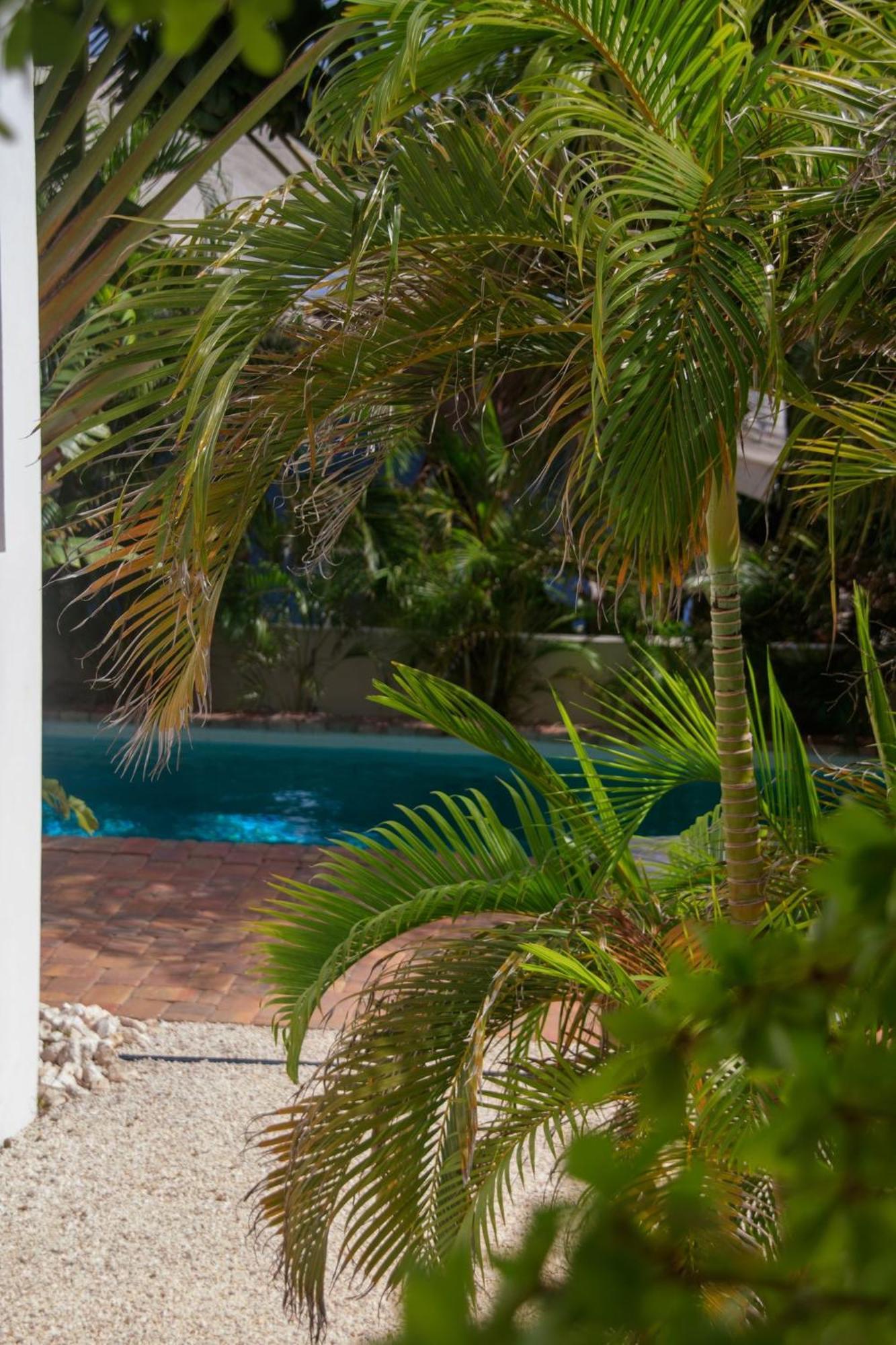 Major. Suites Curacao Willemstad Dış mekan fotoğraf